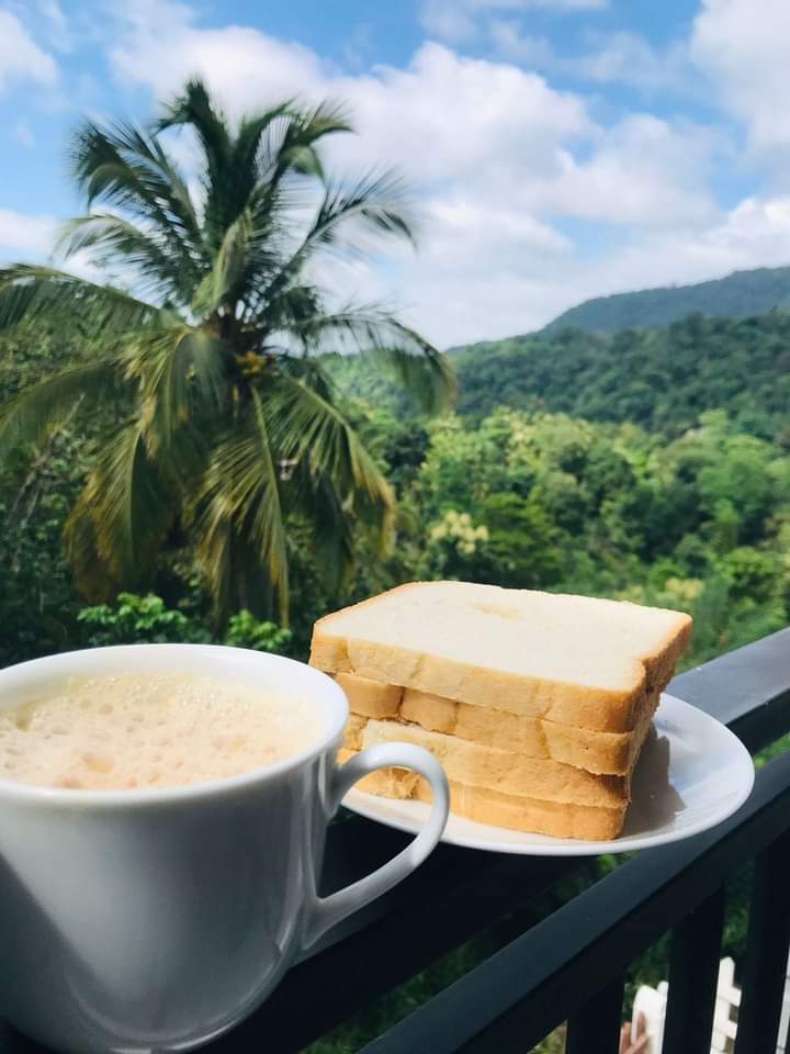 07562220-e808-4581-99c2-9067a39ead2a