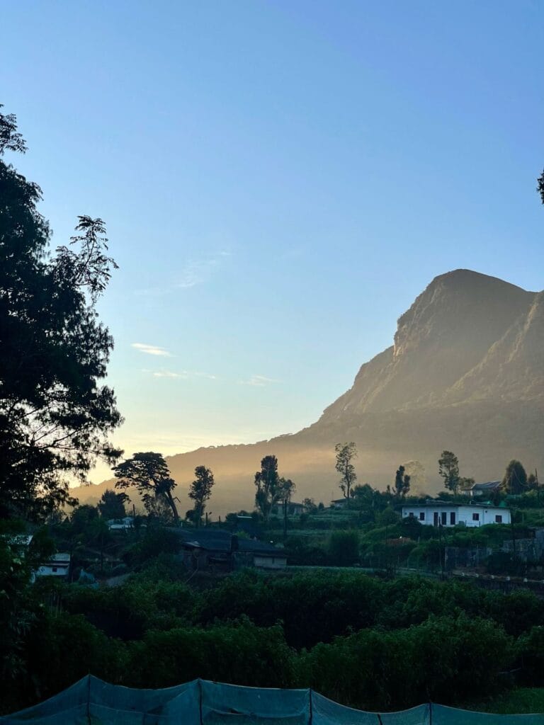 1D77E598-85FF-4510-95D3-27CCFCE8209E