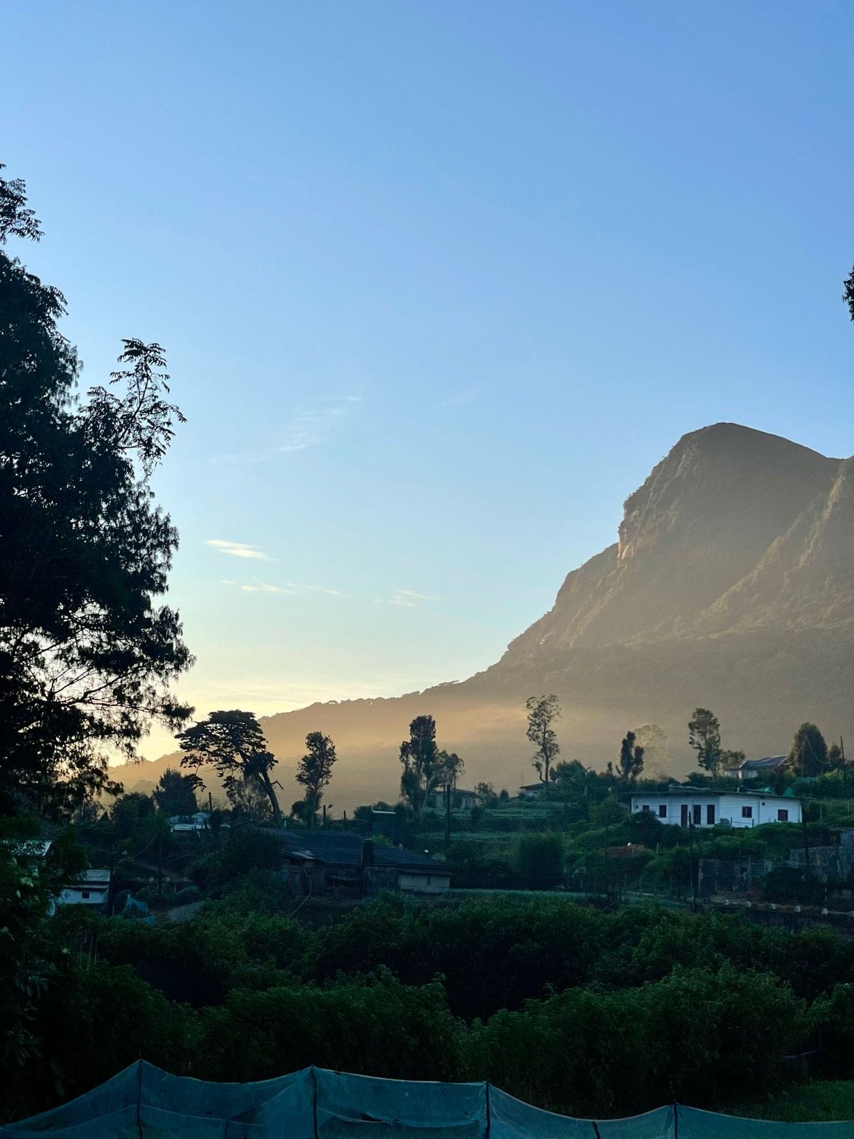 1D77E598-85FF-4510-95D3-27CCFCE8209E