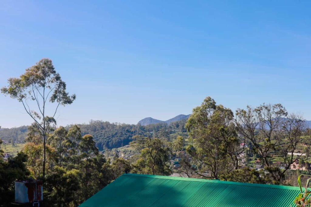 20E789B8-B47B-47D6-963B-951DC9698E48