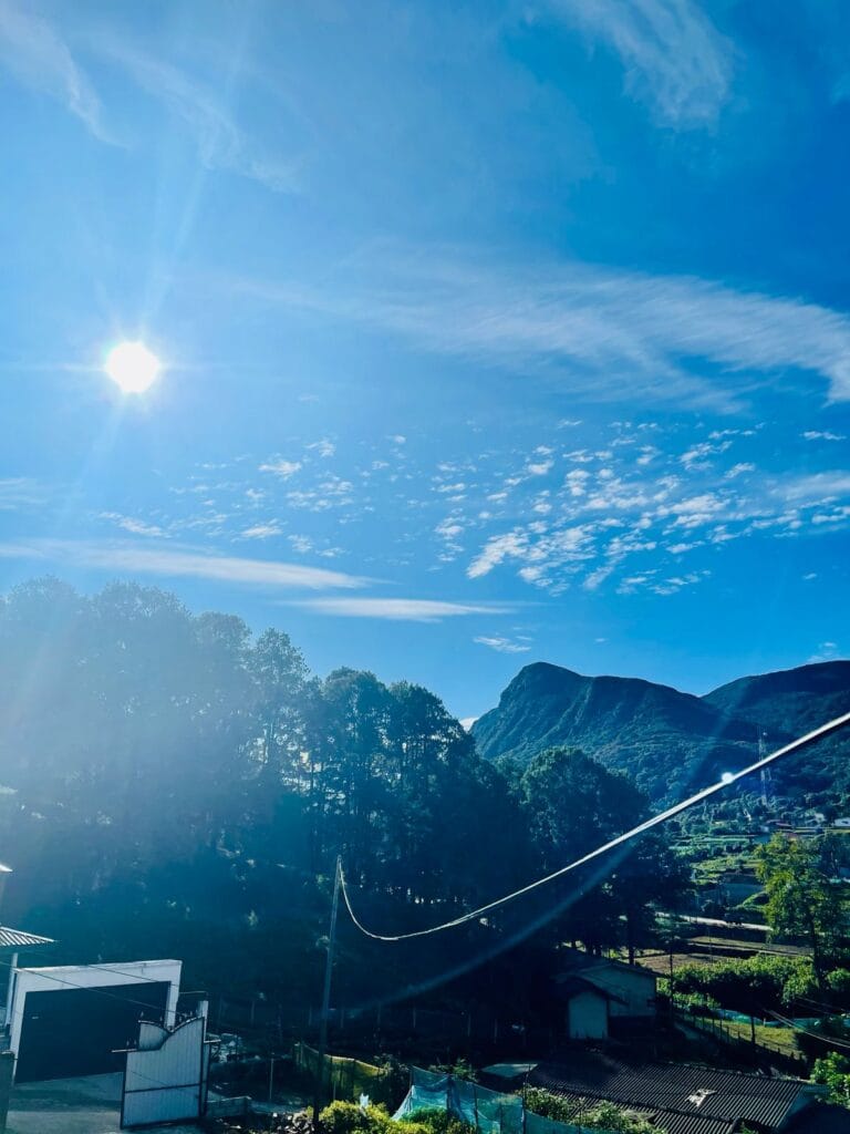 32112322-C262-42B5-B7CC-23910ACBB635