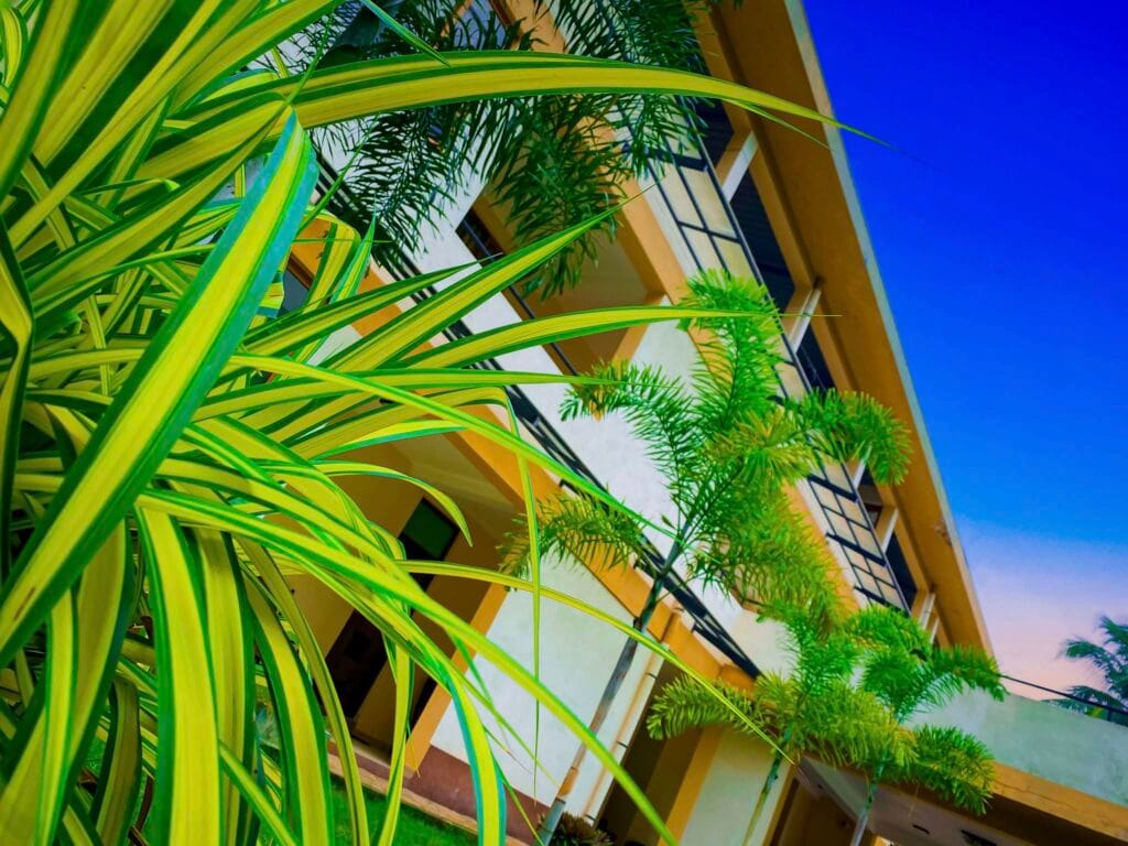 469564626_122141882372362734_3124529143303142429_n