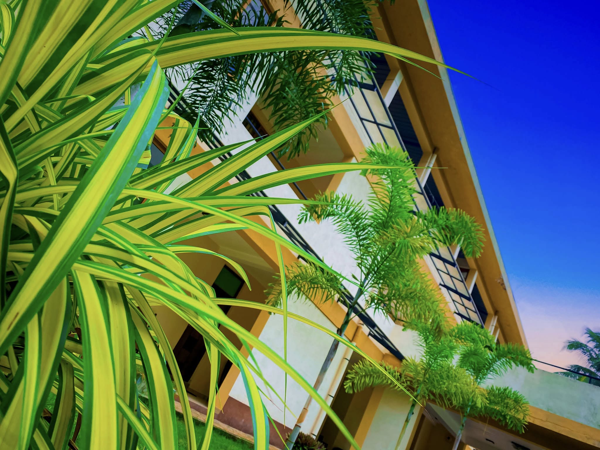 469564626_122141882372362734_3124529143303142429_n