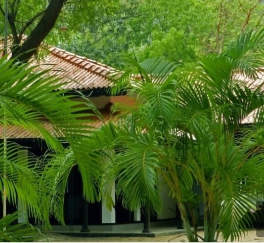 476800179_669040958954882_8236863526151506966_n