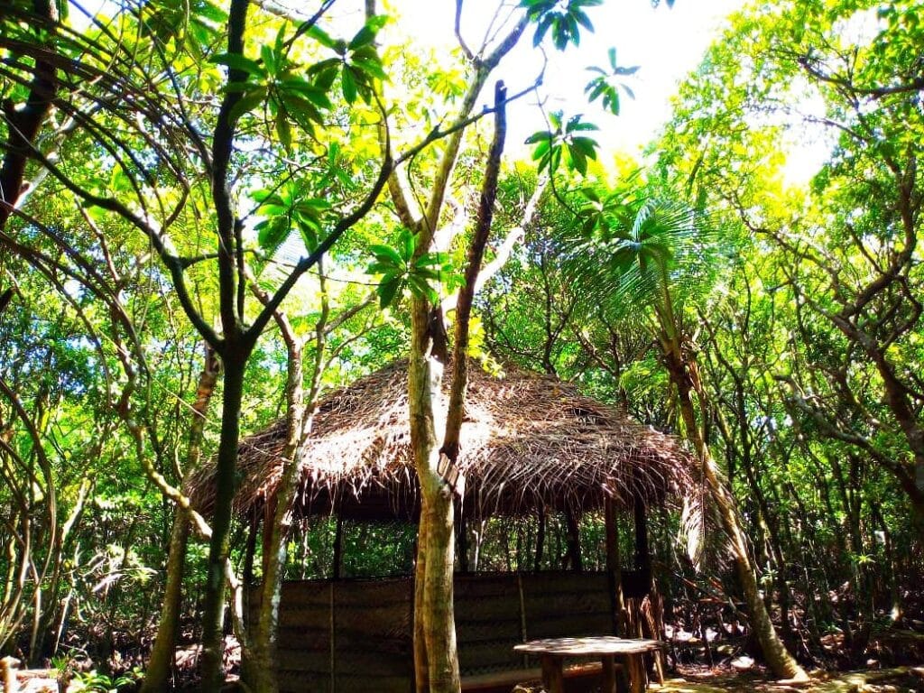 480804020_3868557260071682_753532002639110267_n