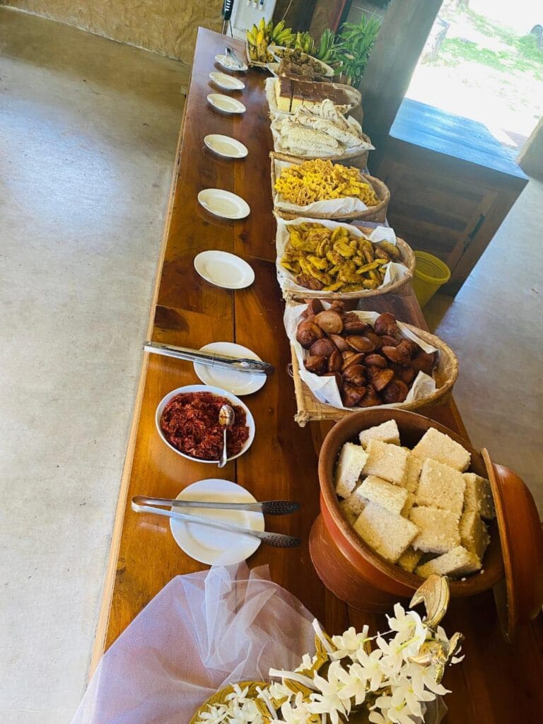 481164737_1156671496111159_1133441658027149379_n