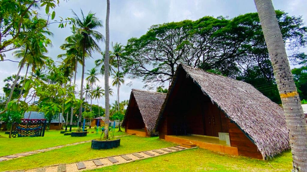 481461834_1156671512777824_6506801753965678106_n