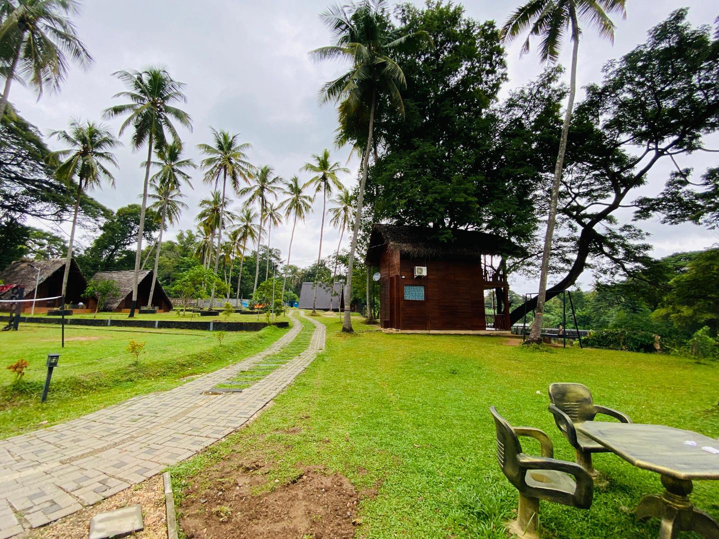 481465067_1156671562777819_4697641958232974457_n