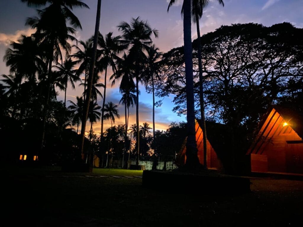 481816034_1156671462777829_4150194137371380249_n