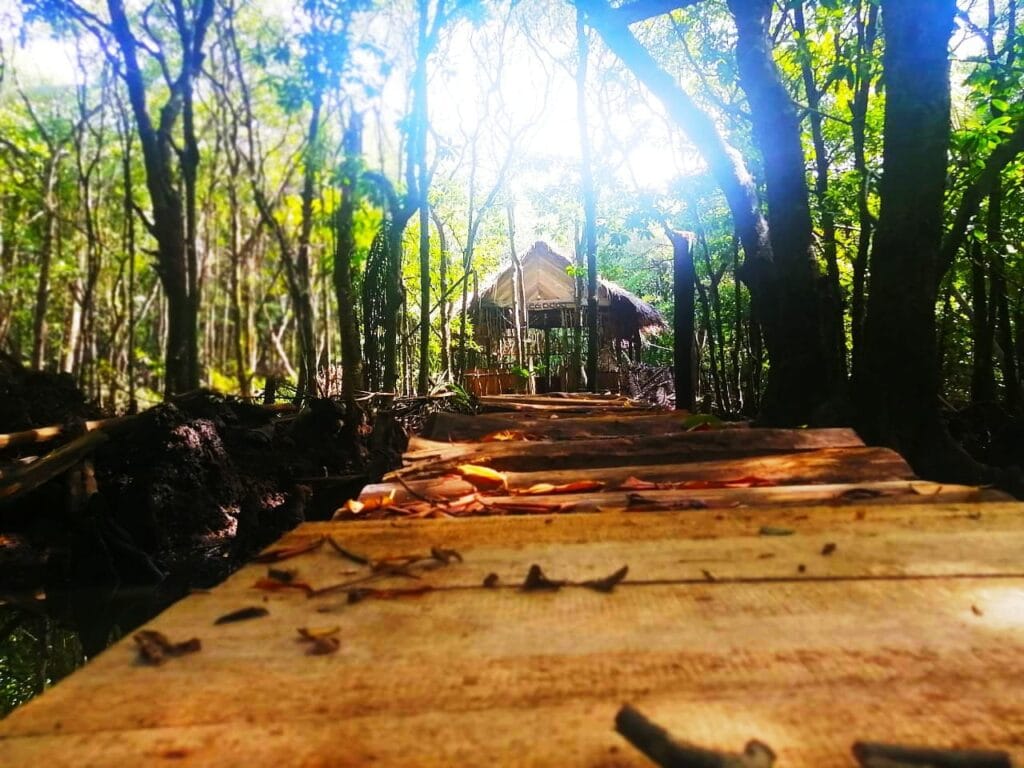 483951547_3868557246738350_5778669440869252953_n