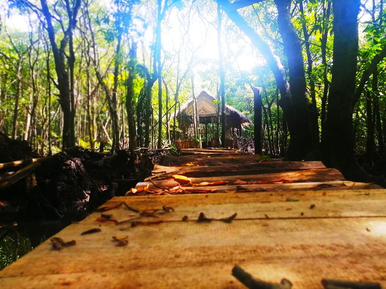 483951547_3868557246738350_5778669440869252953_n