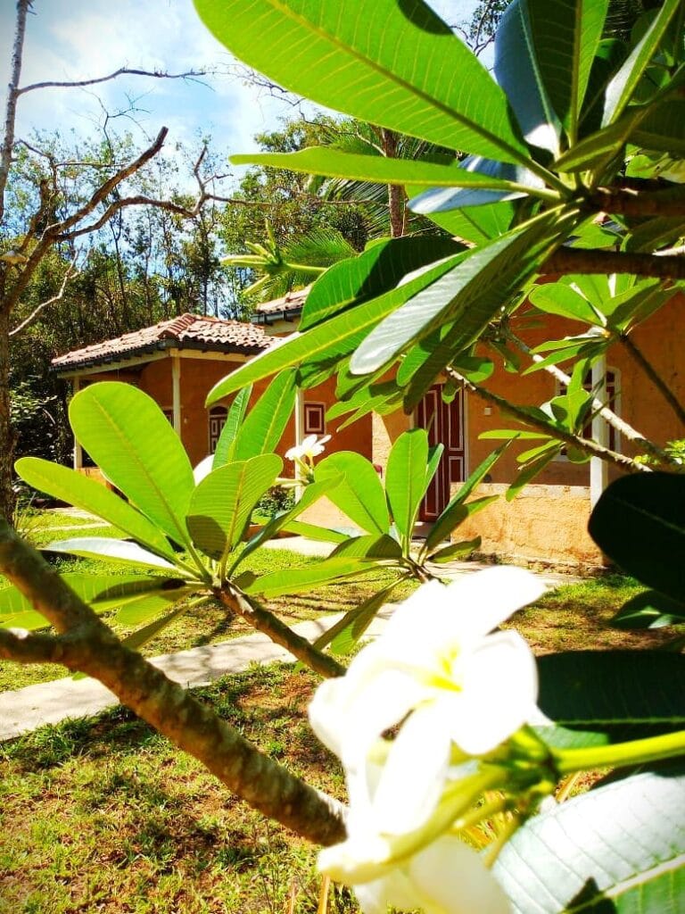 484043155_3868557170071691_1985055427532374482_n