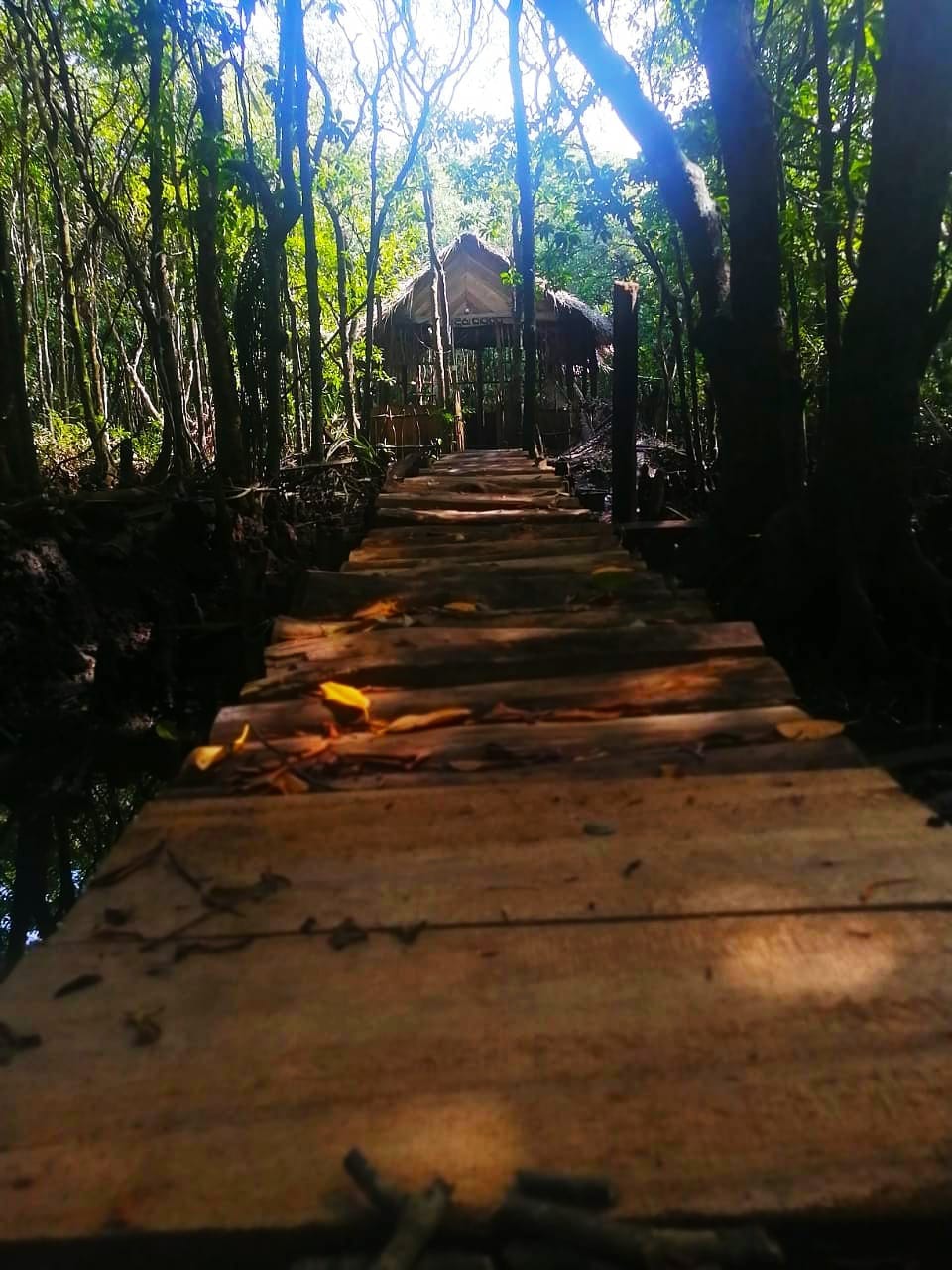 484050855_3868557270071681_8537041966801579249_n