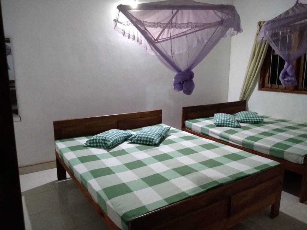 484552196_636011165851159_7041934324433681385_n