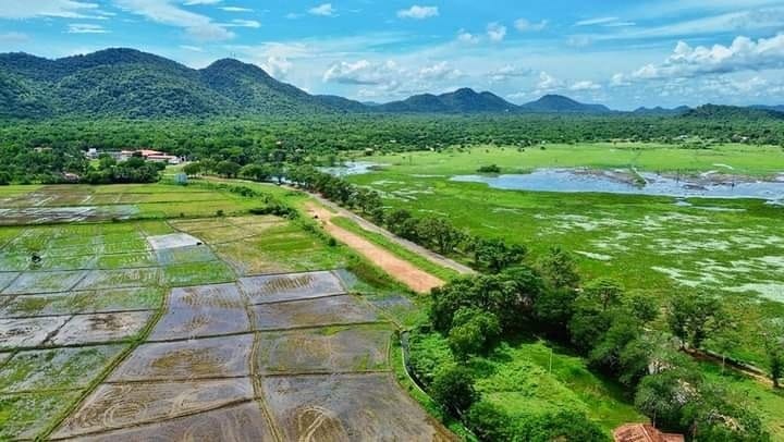 485163616_628270723354505_4110082446755402414_n