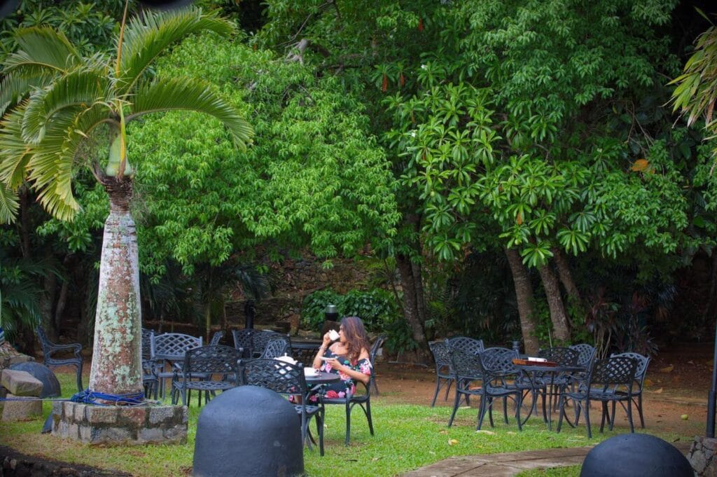 488908913_605736339112970_9184728752246941771_n