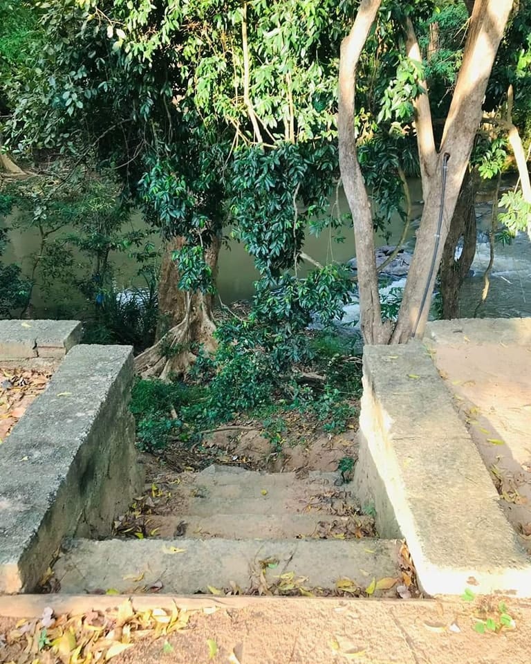 488981981_1198723792254653_2310396819698520491_n