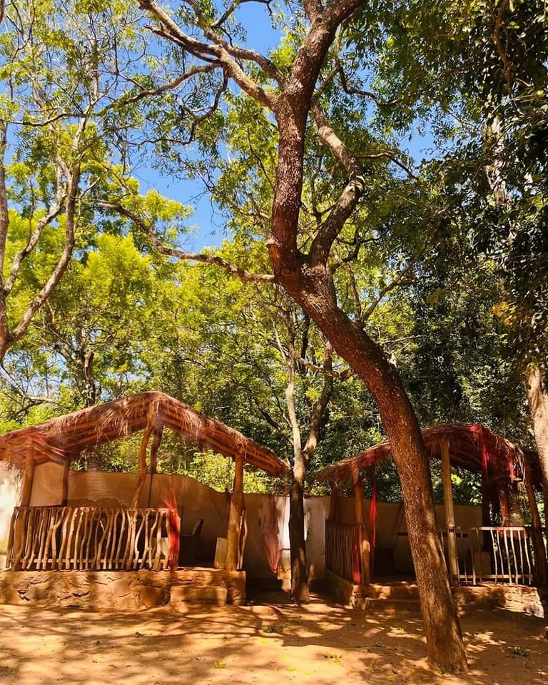 489024668_1198723848921314_2354310631358412293_n