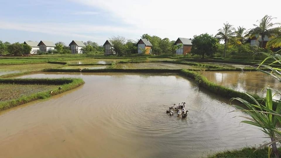 489028623_1198716128922086_3326676395711248119_n