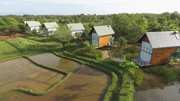 489238155_1198715952255437_1249157740811619149_n