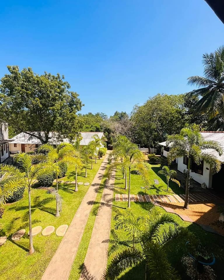 489269058_1198723765587989_969185927002537277_n-1