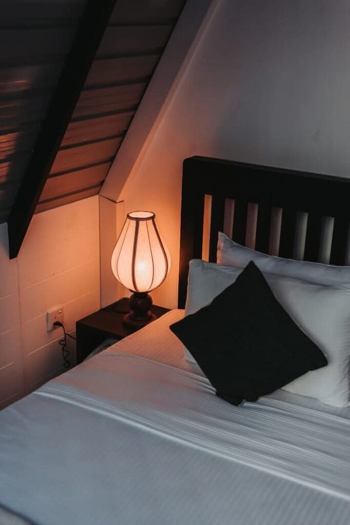 495228239_1536111837713509_5642492453301856192_n