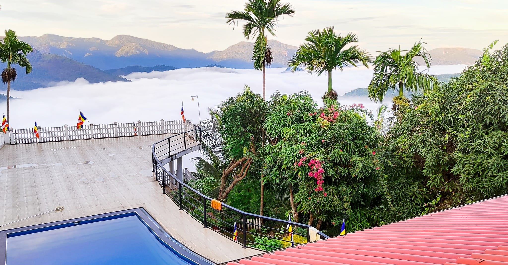 499537024_1635611097238515_7770679553980653248_n