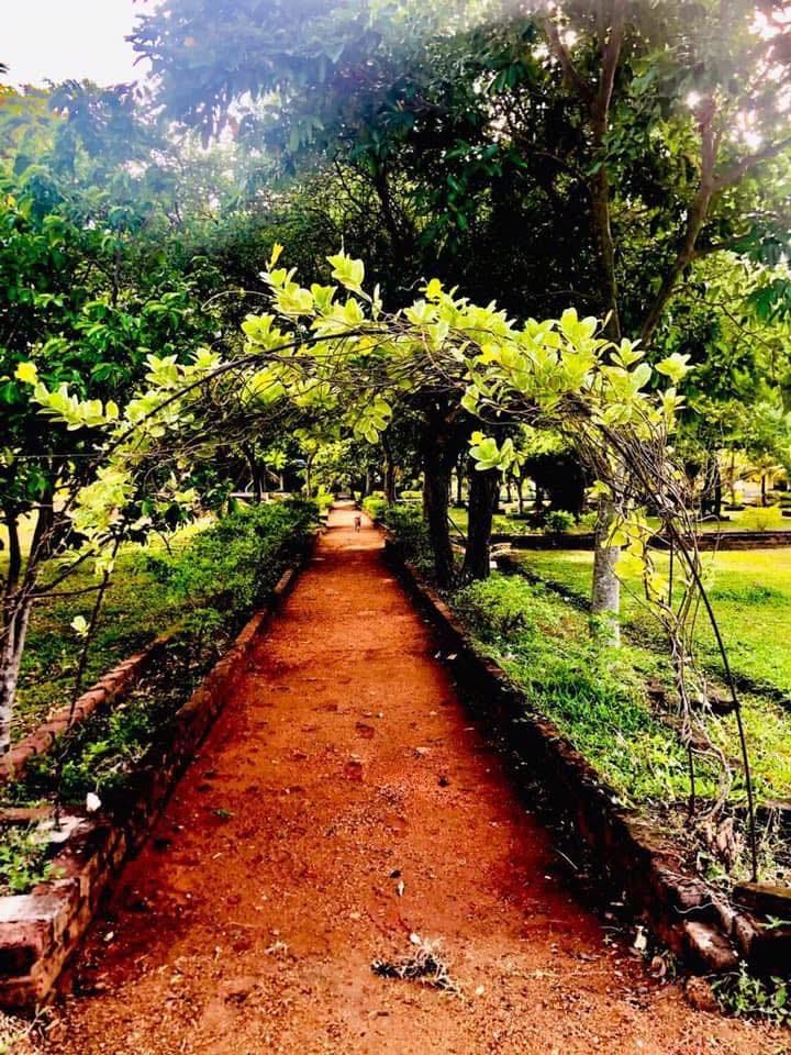 499556551_640025962350674_3494637373267307881_n