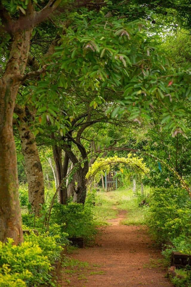 499763805_640026569017280_193089411589958874_n