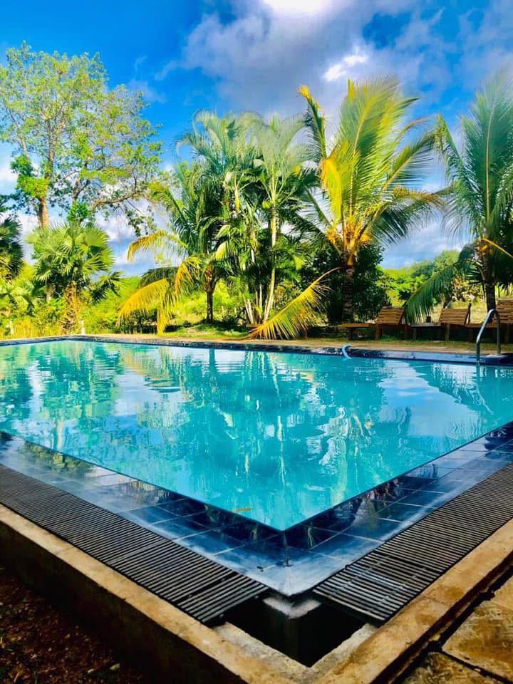 499932078_640026599017277_12049273872592820_n