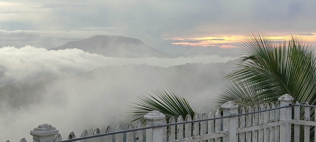 500017118_1635610790571879_3913223049852910758_n