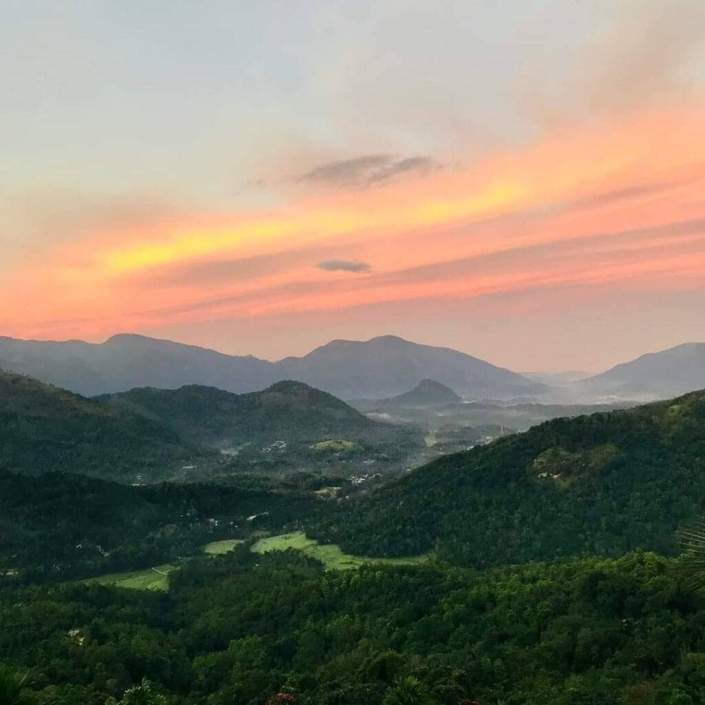 500250128_1635610173905274_7333360636011891845_n