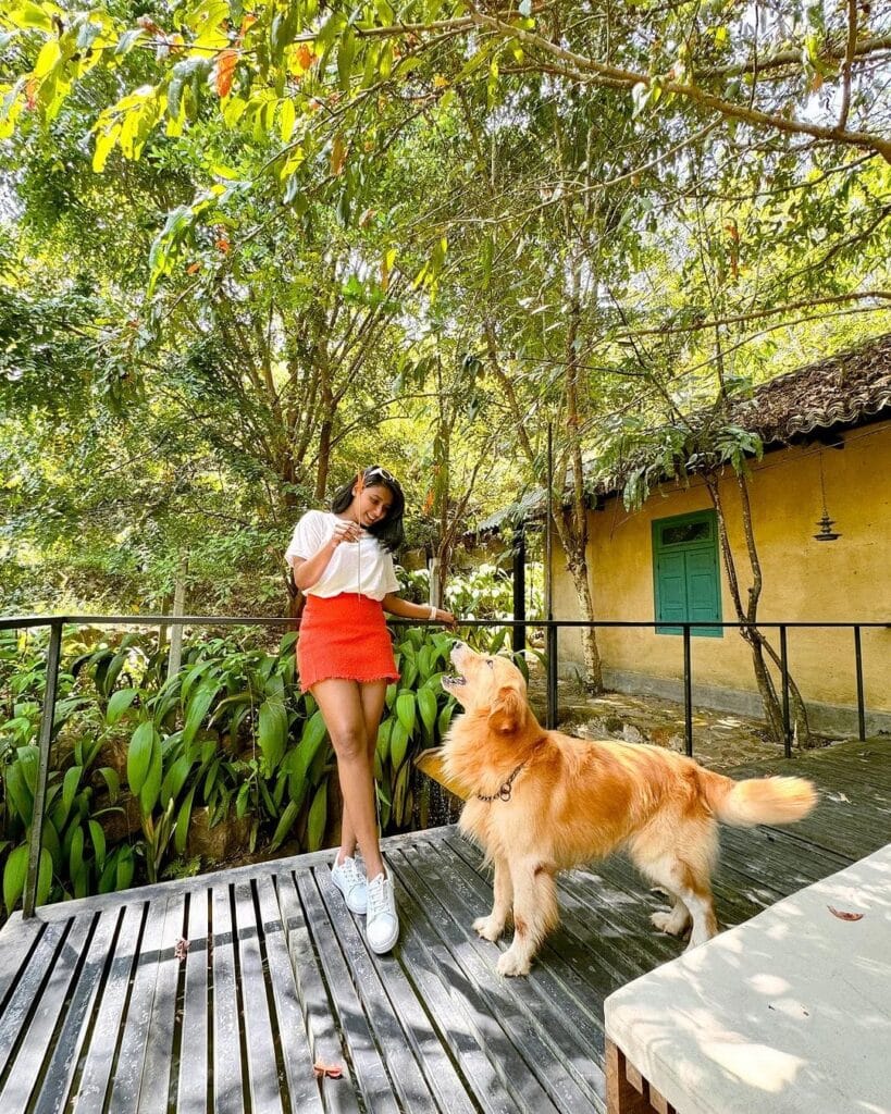 503454850_682505048042598_6501882581985366332_n