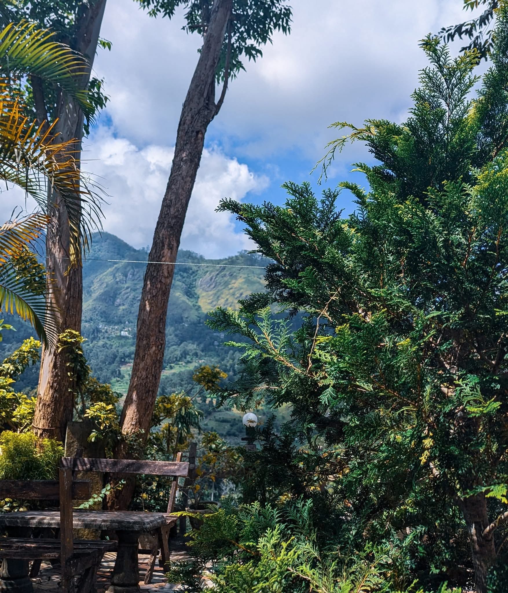 503719623_1256775829782782_592646354754951897_n