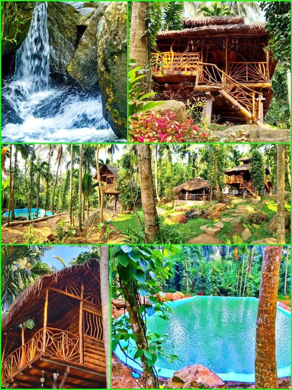 504384235_704711872506553_3318753434871025313_n