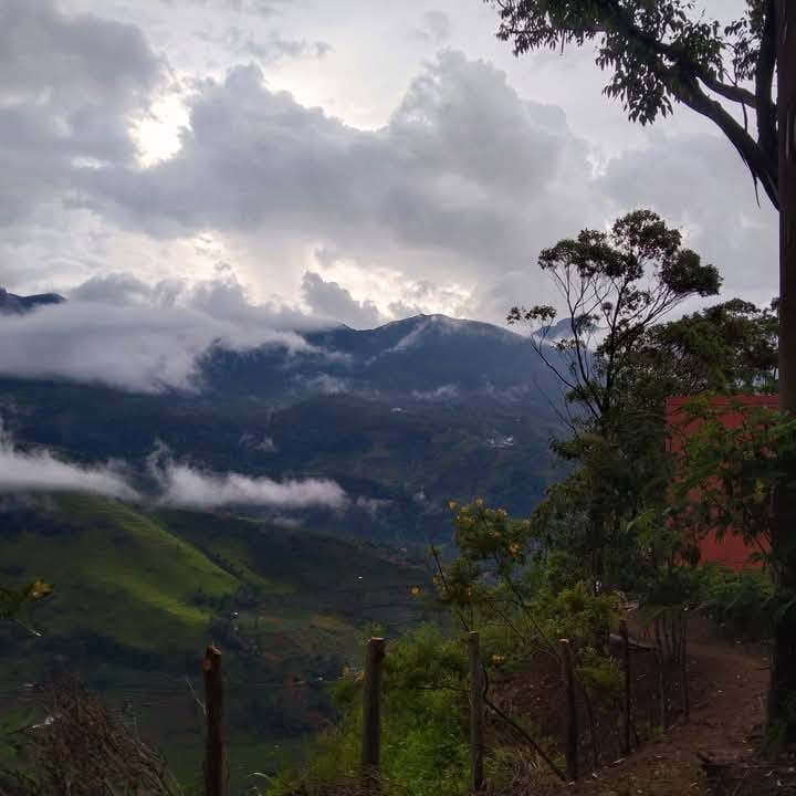 506239604_122099038736909930_4695439116781323704_n