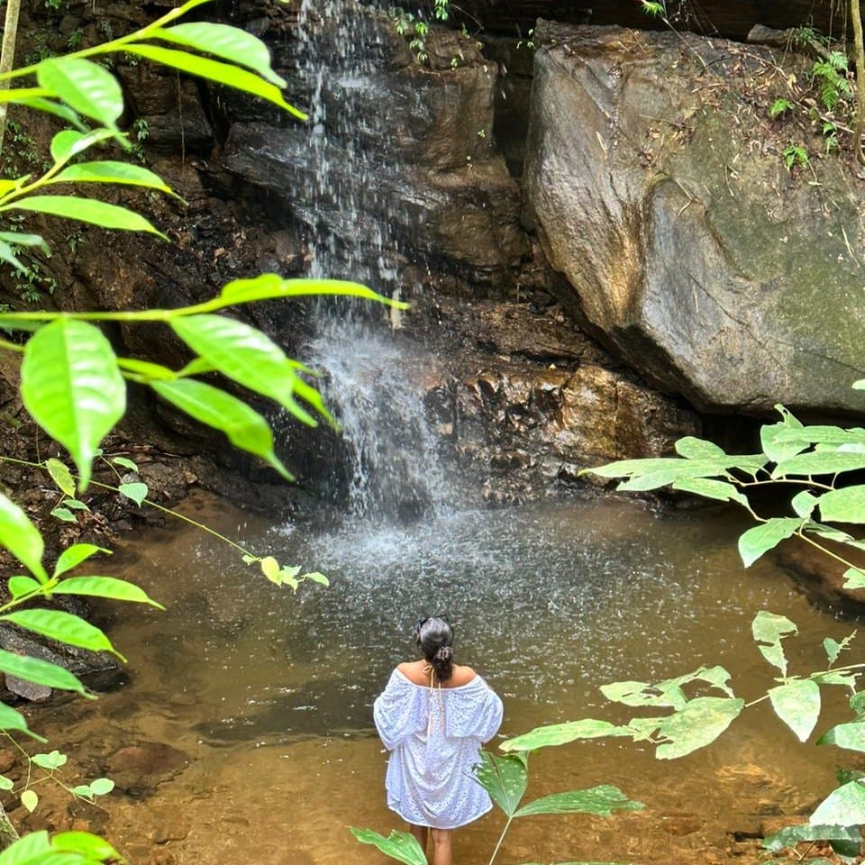 506709957_1048435154101920_6193636275806923173_n