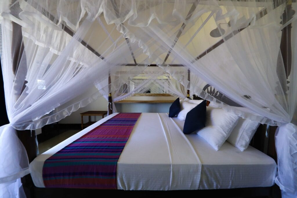 506795784_1048434474101988_2155011684844680321_n