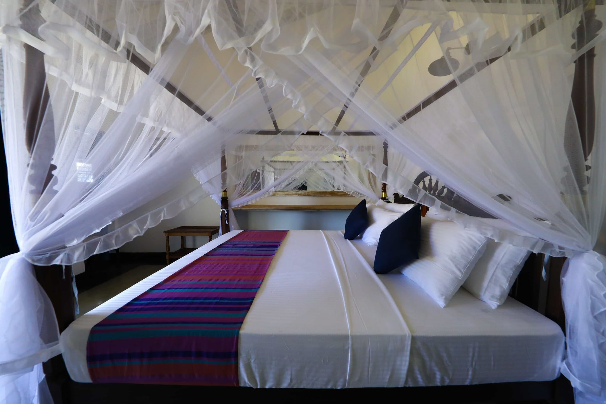 506795784_1048434474101988_2155011684844680321_n