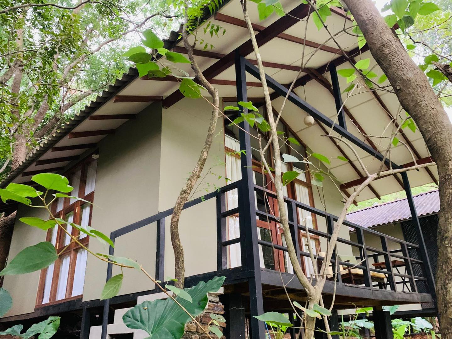 508617466_1232703141553498_5872150288121632123_n