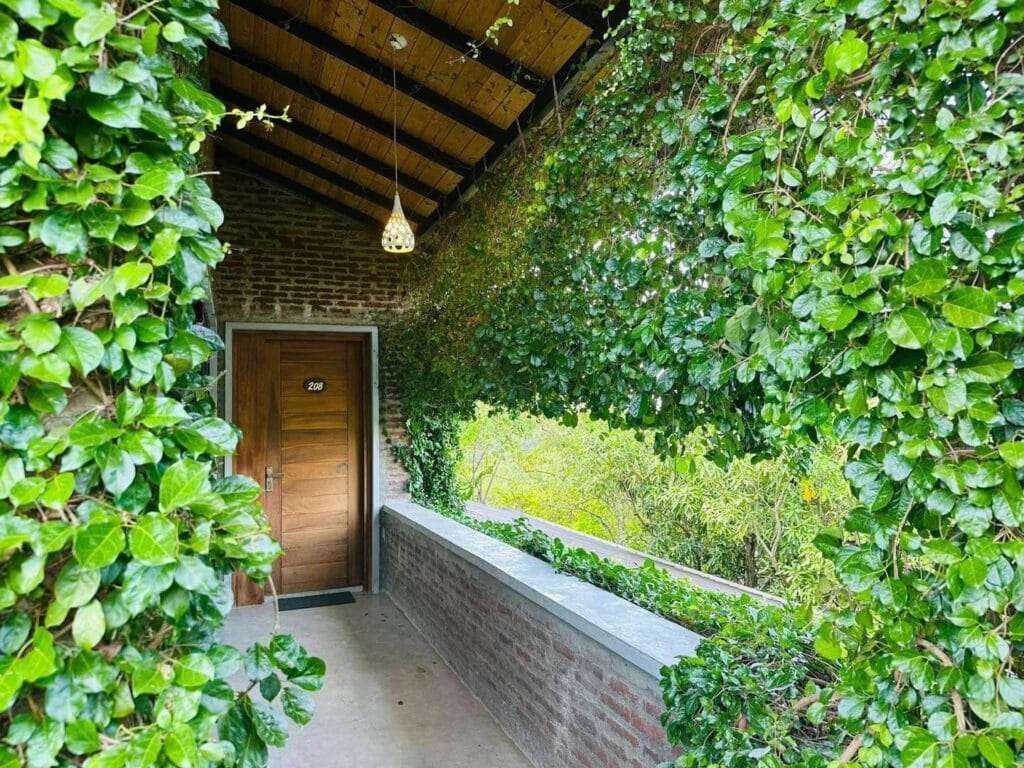 508851986_1232703341553478_9124754410340021226_n