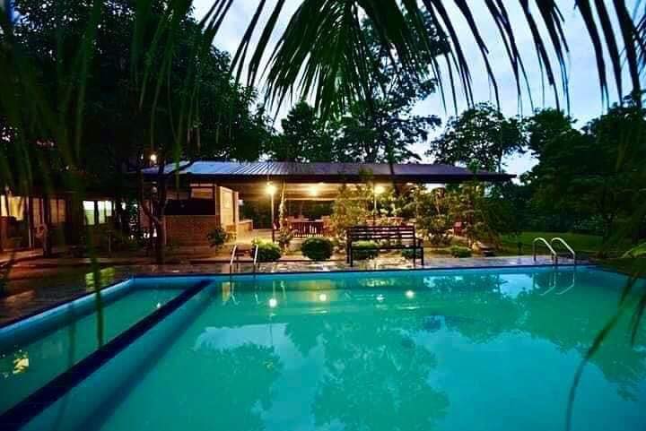 508859371_1232702781553534_2163893264428279087_n