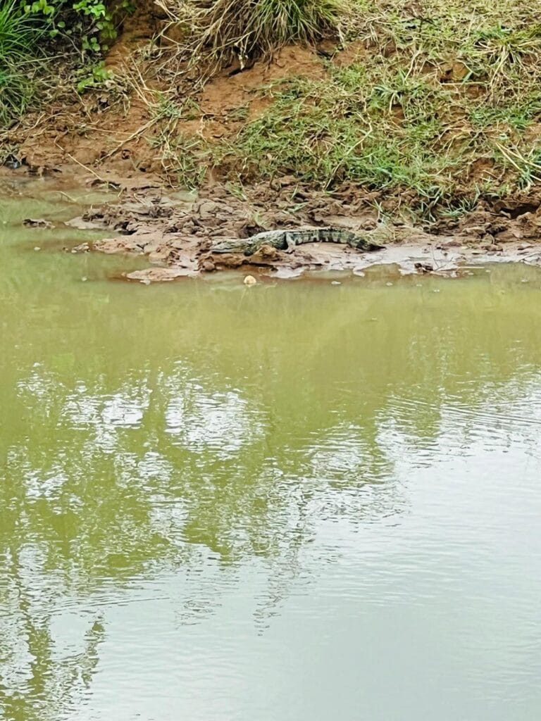 508989516_1232703308220148_6714153512302714754_n