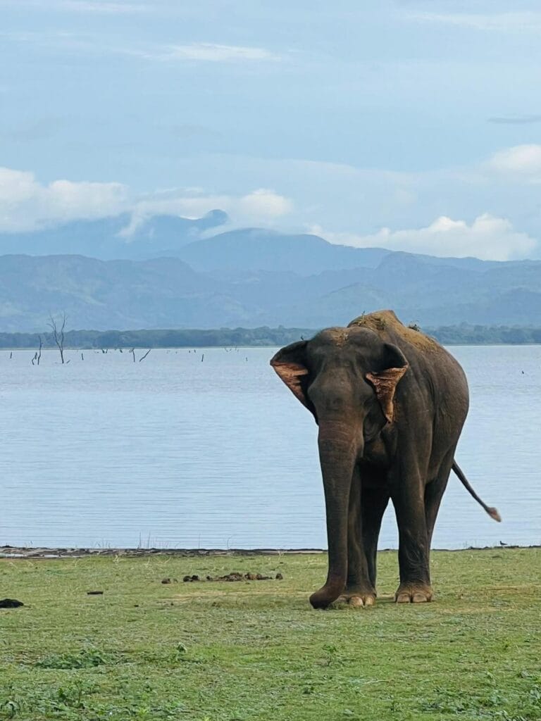 509234172_1232703014886844_4858169065272890995_n