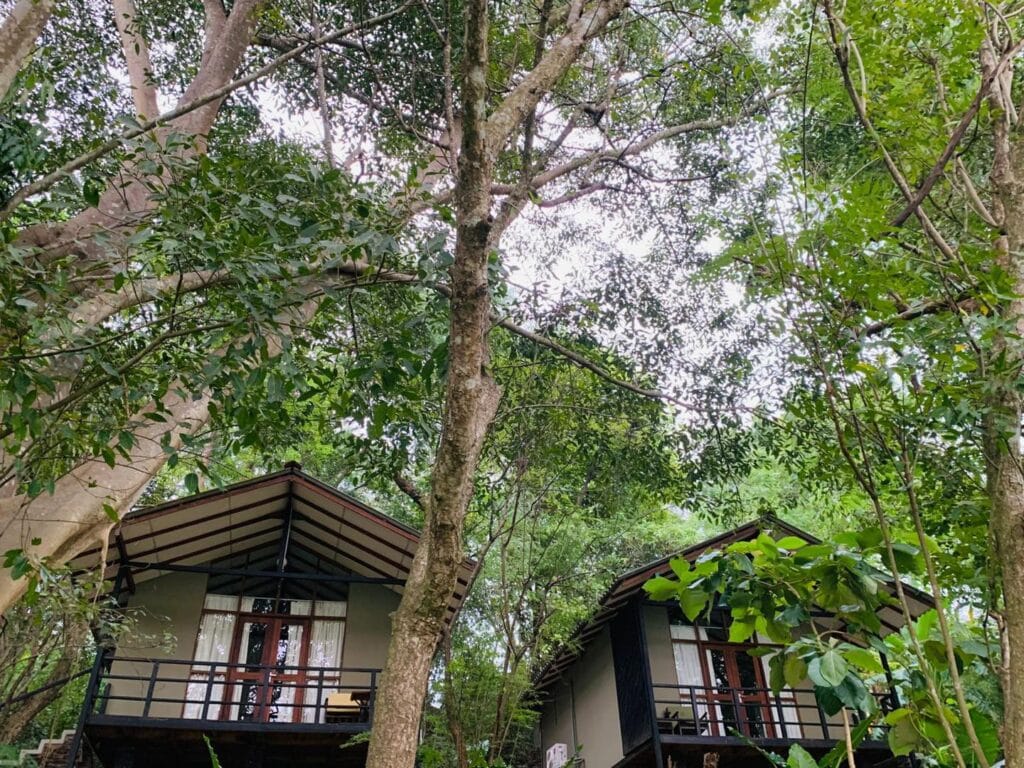 509265889_1232703331553479_5384585193052669007_n