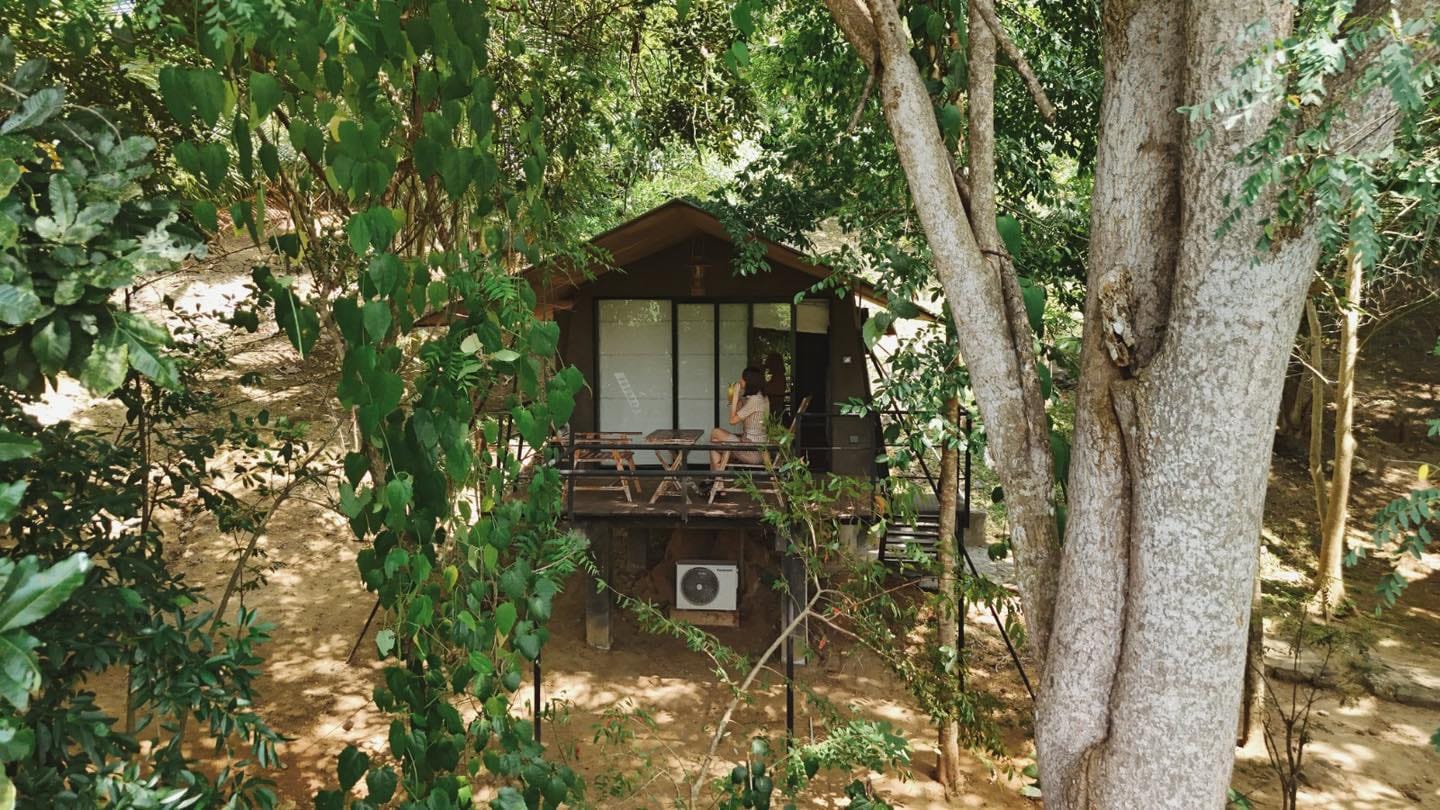 509271214_1232703191553493_6213358331657681776_n