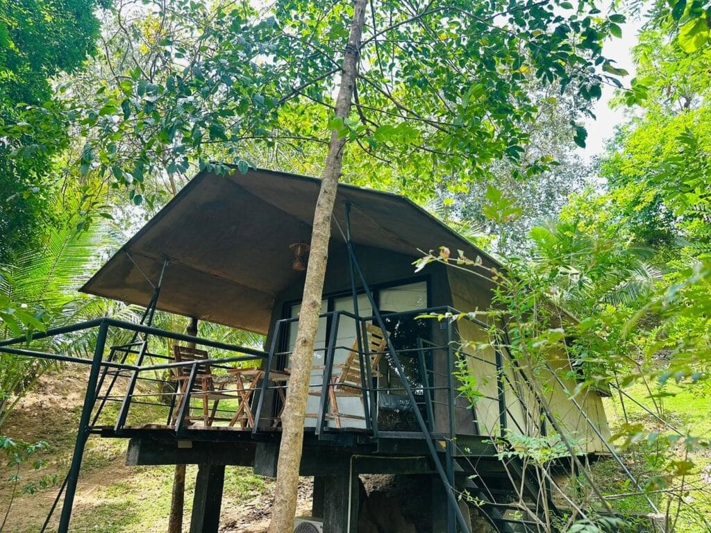 509430148_1232703354886810_6612946703683716454_n