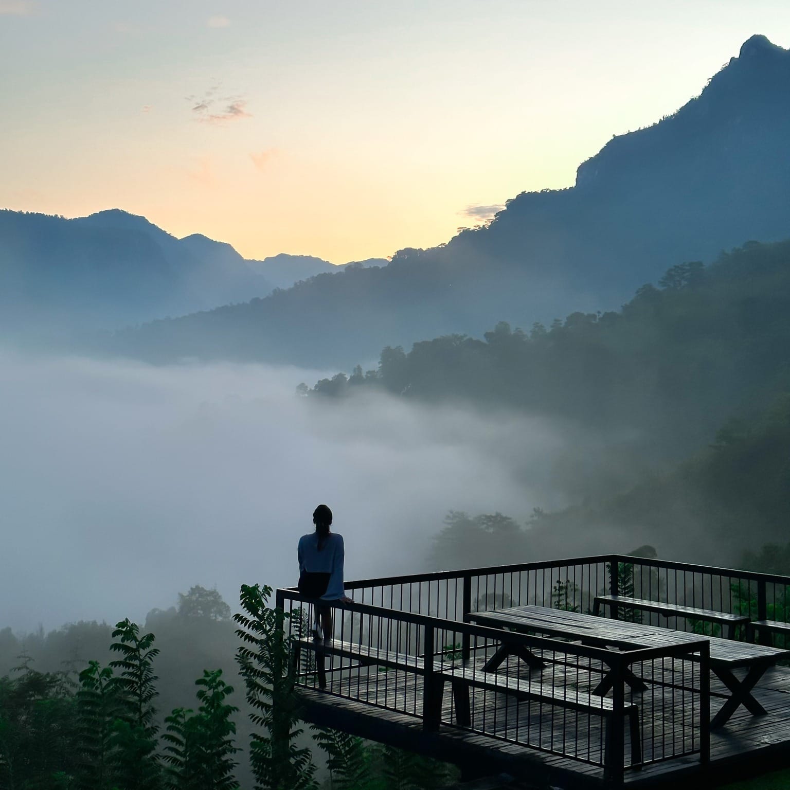 510231284_1048433167435452_2824930758988407460_n