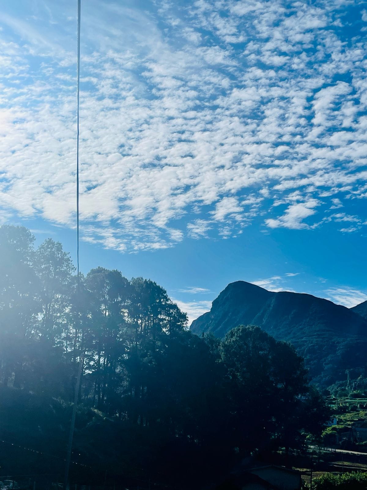 647719FE-C611-4688-BADE-7F4893EEBE24