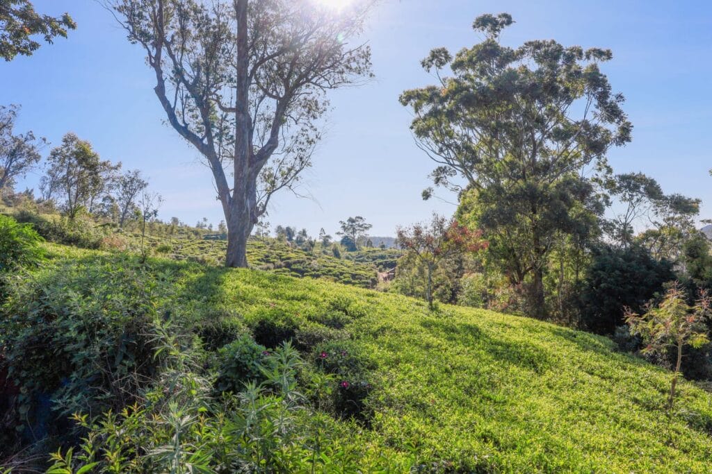 71F0506C-9EB2-4229-89A2-E4072D3779A8